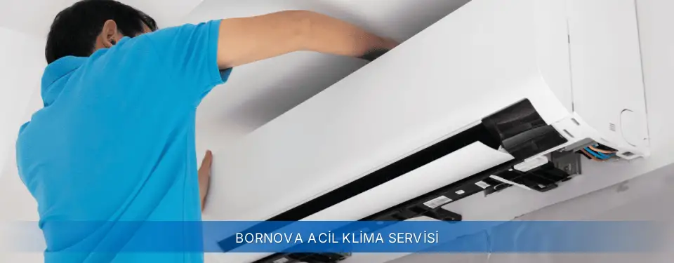 Bornova İlçemi York Acil Klima Servisi